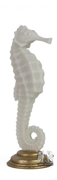 Seepferdchen