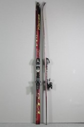 Skier