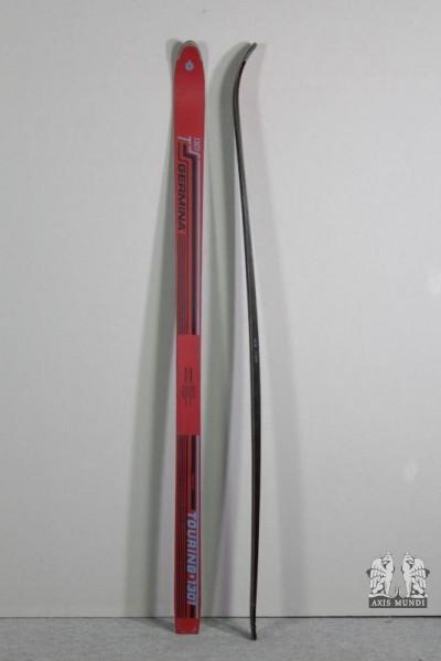 Skier