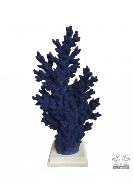 Blau Koralle