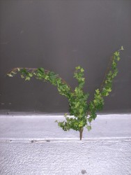 Art.-Nr.: 101863