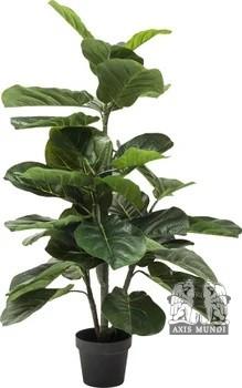 Deko Pflanze Fiddle Leaf