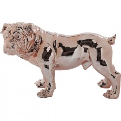 Bulldogge