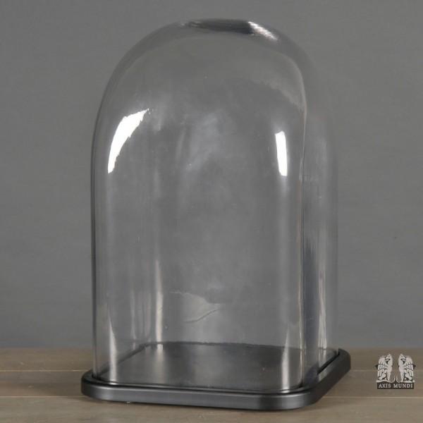 Quadratische Glosche