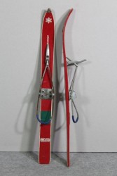 Skier