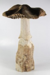 Holzpilz