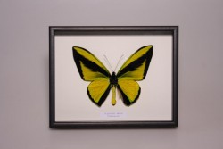 Art.-Nr.: 106765