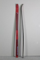 Skier