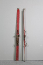 Skier