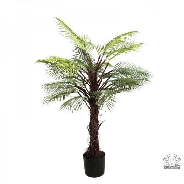 Palme