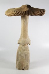Deko Pilz