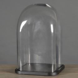 Quadratische Glosche