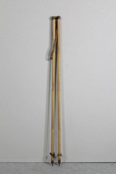 Skistöcke