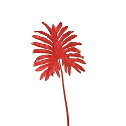 Selloum Blatt