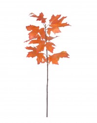 Kunstahorn Blatt