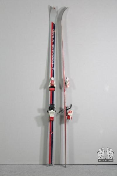 Skier