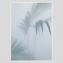 Poster Palm