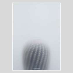 Poster Ball Cactus