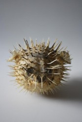 Art.-Nr.: 104076