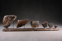 Art.-Nr.: 106445