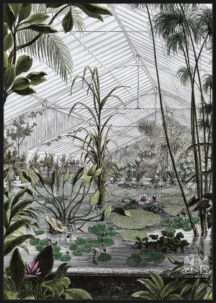 Bild Tropical Forest I